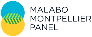 Malabo Montpellier Panel