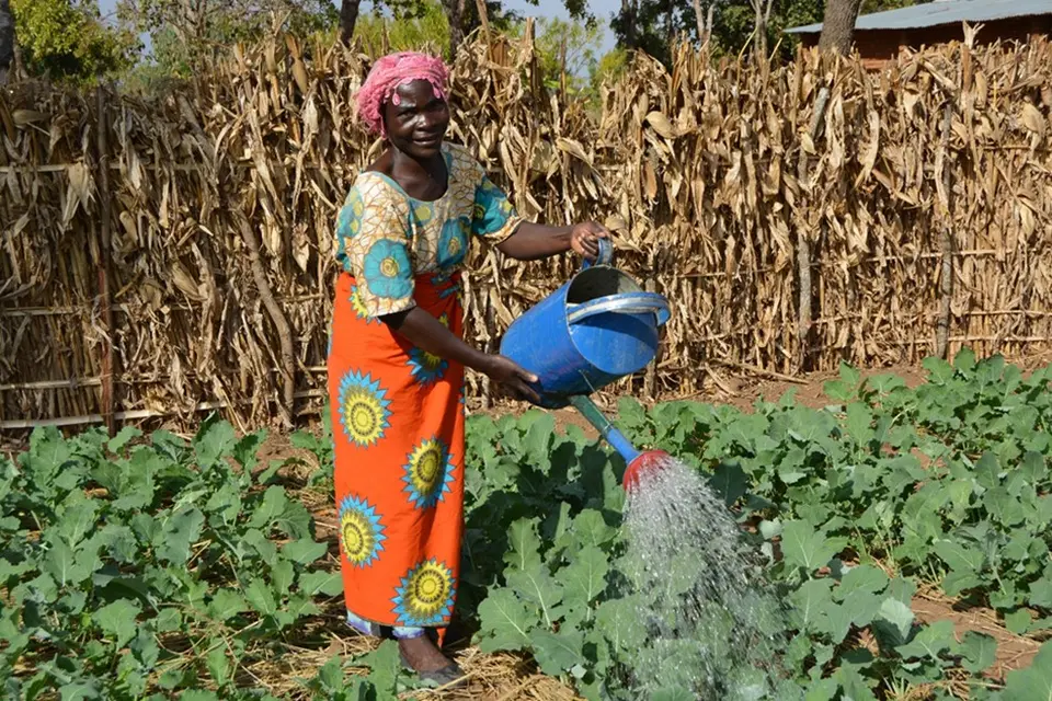 A woman waters a vegetable garden with a blue watering can